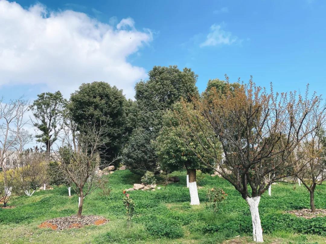 風(fēng)景這邊獨(dú)好!東大環(huán)境美景一覽,請(qǐng)查收